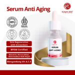 SERUM ANTI AGING MENGHILANGKAN GARIS HALUS KUSAM FLEK HITAM BEKAS JERAWAT PENCERAH GLOWING
